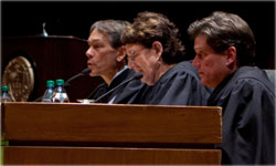 Moot Court judges