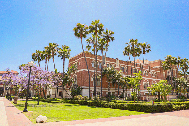 Brick clad library building under a blue sky at USC University Park Campus in Los Angeles surrounded by palm trees.