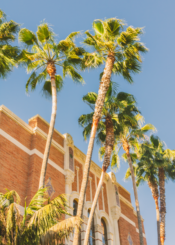 USC building surrounded by palm trees.