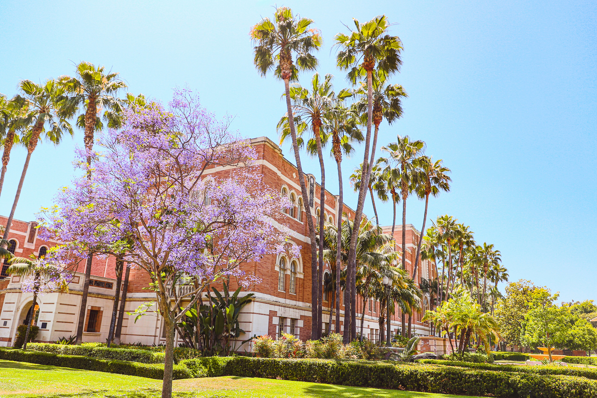 USC Doheny Memorial Library with palm trees