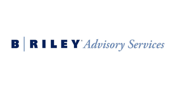 24 b riley advisory services