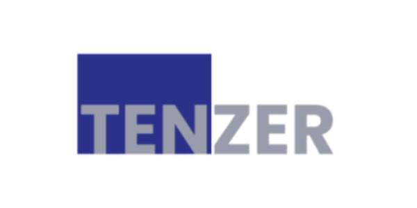 tenzer consulting group